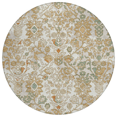 Machine Washable Indoor/Outdoor Chantille ACN2584 Traditional Rug