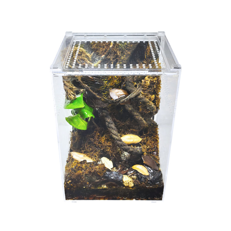 Acrylic Reptile Terrarium, 3 Gallon - 12"H x 8"W x 8"D