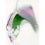 Newness Print by Carla White-65853000-65828400