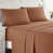Rust Sienna selected