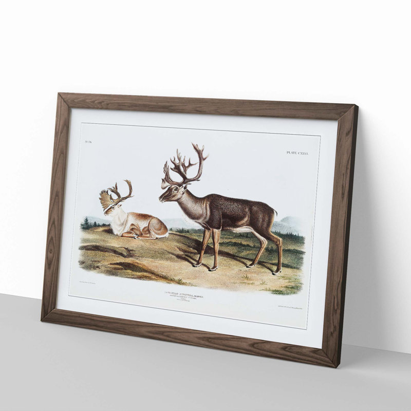 Caribou by J.W. Audubon - Picture Frame Graphic Art Print, 48cm H x 65cm W x 2cm D, Walnut Framed