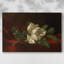 Martin Johnson Heade "Magnolia Grandiflora (Magnolia sur velours rouge)" - Art mural de qualité musée sur toile tendue-733509401