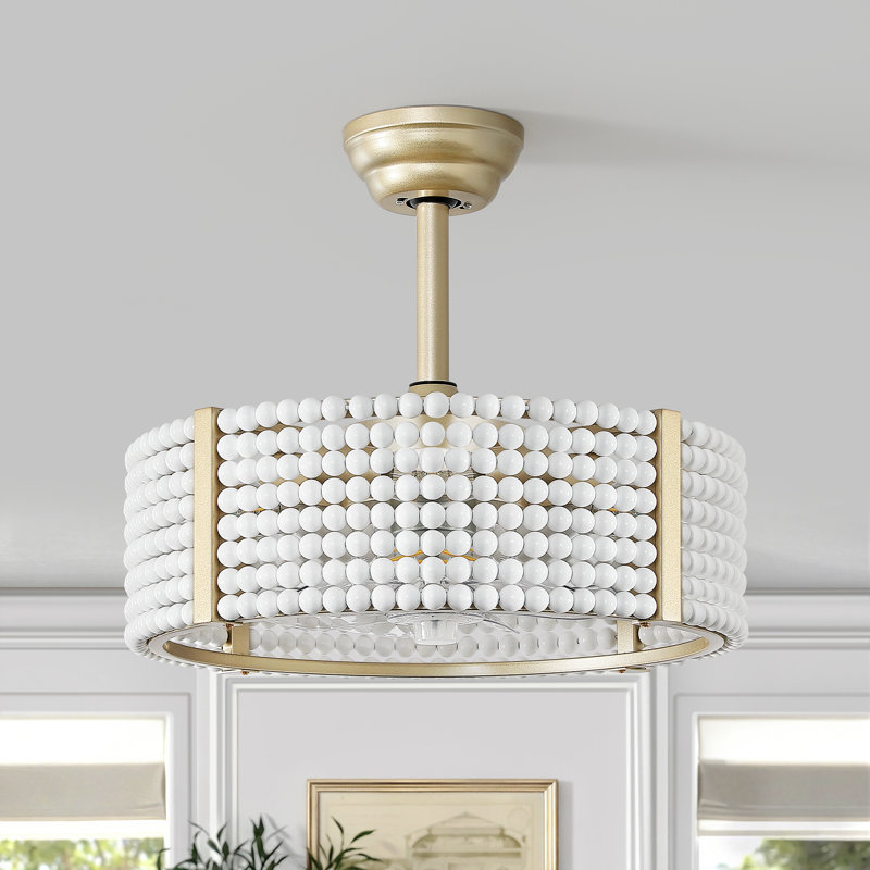20'' Boho Caged Ceiling Fan with Light Kit and Remote Control