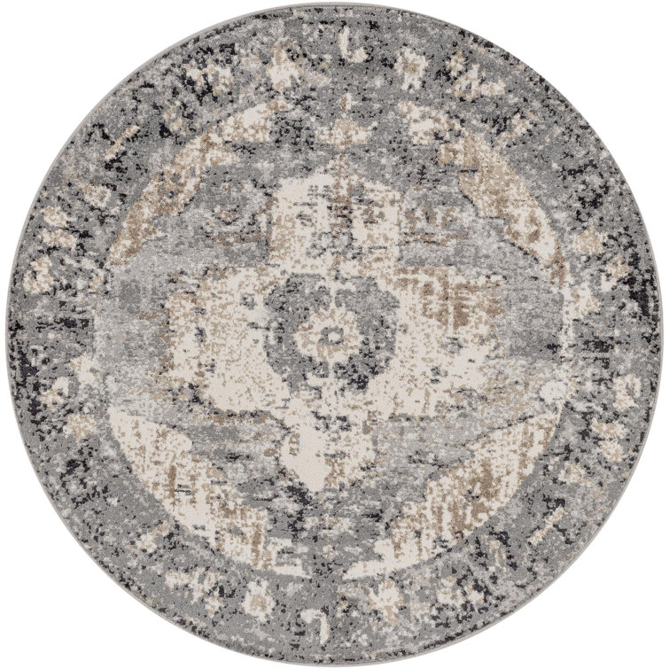 Addisyn Machine Woven Oriental Charcoal Area Rug