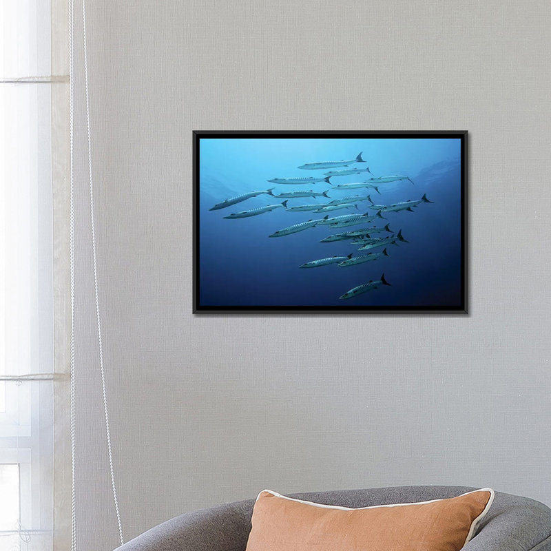 " Barracudas " by Henry Jager, 18" H x 26" W x 1.5" D, Black Framed Canvas, No Mat