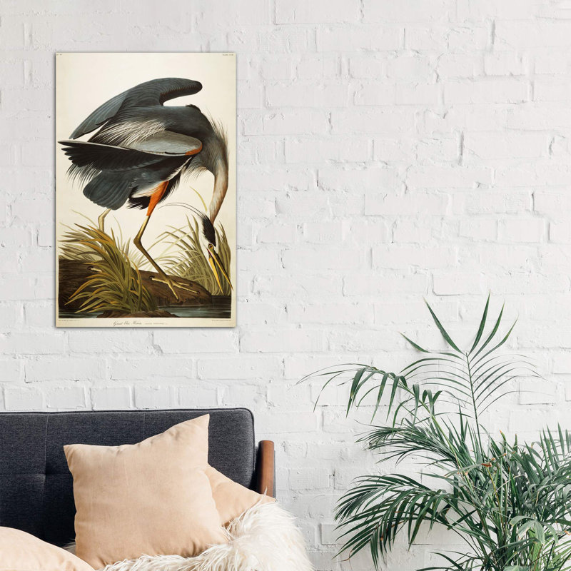 Great Blue Heron by John Audubon - Painting on Canvas, No Frame, 101.6 cm H x 66.04 cm W x 3.175 cm D