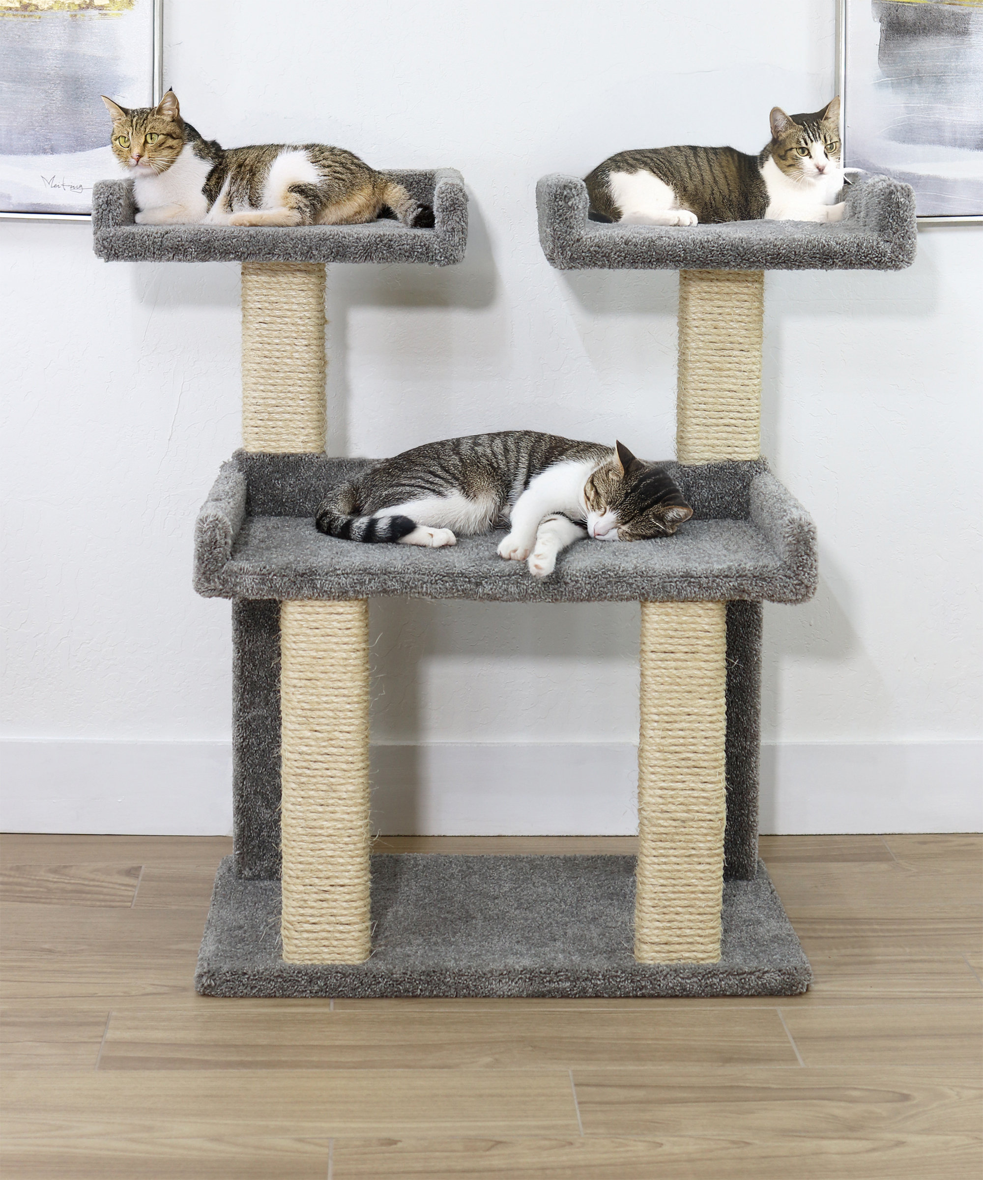 Prestige Cat Trees 38'' H Cat Tree & Reviews | Wayfair