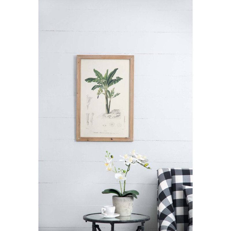 S/2 Tree Framed Print