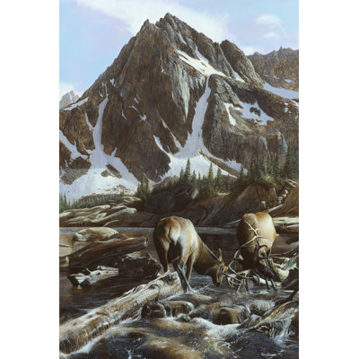 Mountainside Elk II by Kevin Daniel - Wrapped Canvas Print