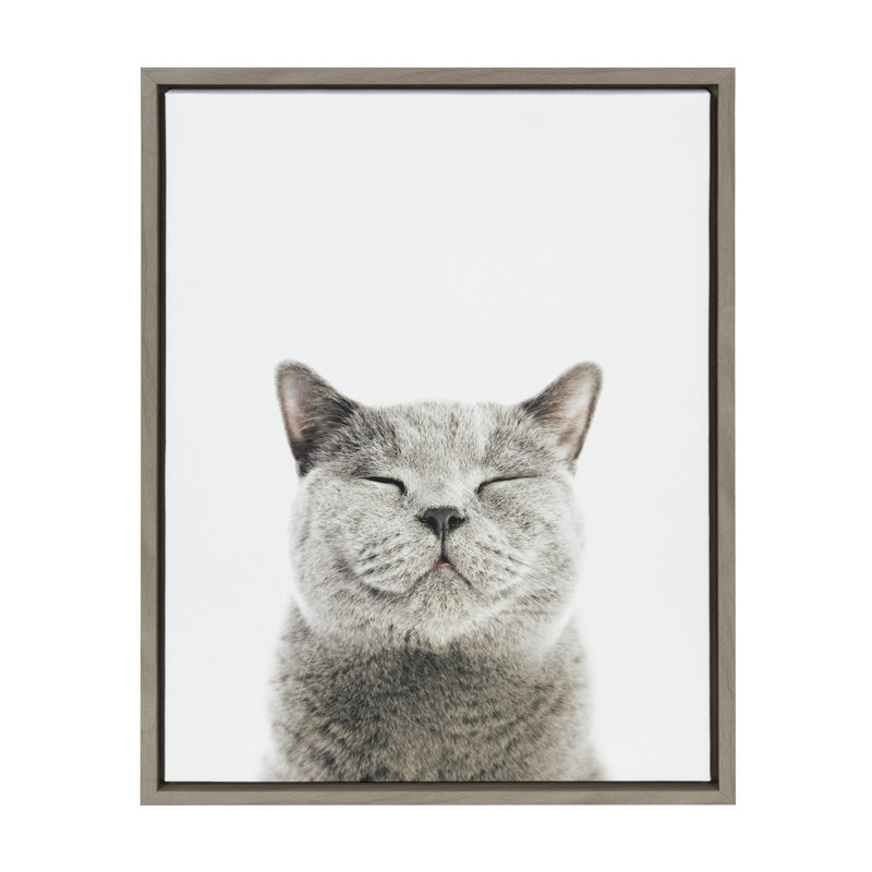«Sourire chat» par Amy Peterson, reproduction d'art sur toile encadrée, Cadre gris, 18 po x 24 po