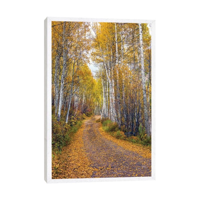 Fall In Aspen Colorado by Susanne Kremer - Gallery-Wrapped Canvas Giclée on Canvas, White Framed, 66.04 cm H x 45.72 cm W