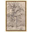 «Giant Oak at Forest», art vintage par Art Remedy-107404736-107404740