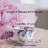 Ceramic Tea Cups Coffee Cup and Saucers Set of 4