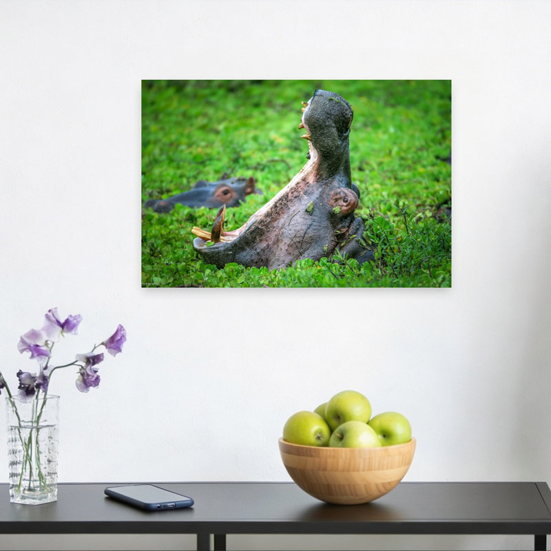 Hippo'S Mighty Yawn Contemporary Animal Nature Wall Art Print by Jeffrey C. Sink - 1 Piece Wrapped Canvas Wall Art