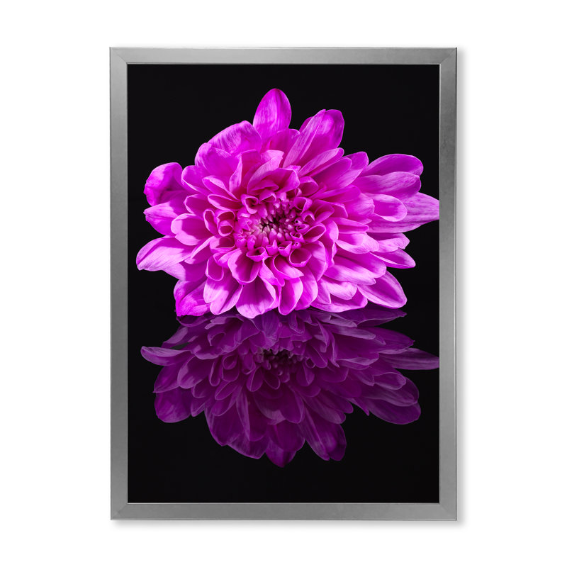 Fleur de chrysanthème simple sur reflet noir - photographie sur toile, H 32 po x l 16 po x P 1,5 po, Toile avec cadre argenté