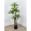 Faux Dracaena botanique au fini vert 51 po de hauteur