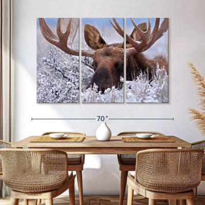 Hiding Moose
