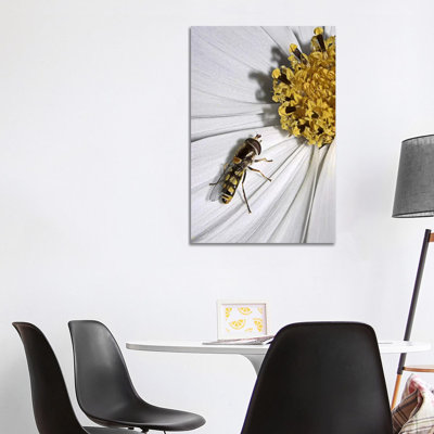 One by SD Smart - Wrapped Canvas Print
