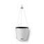 Hanging Planter-16493104-66329965