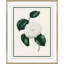 Flora VI Framed