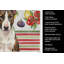 Torchon bringé et blanc Bull Terrier-322069927