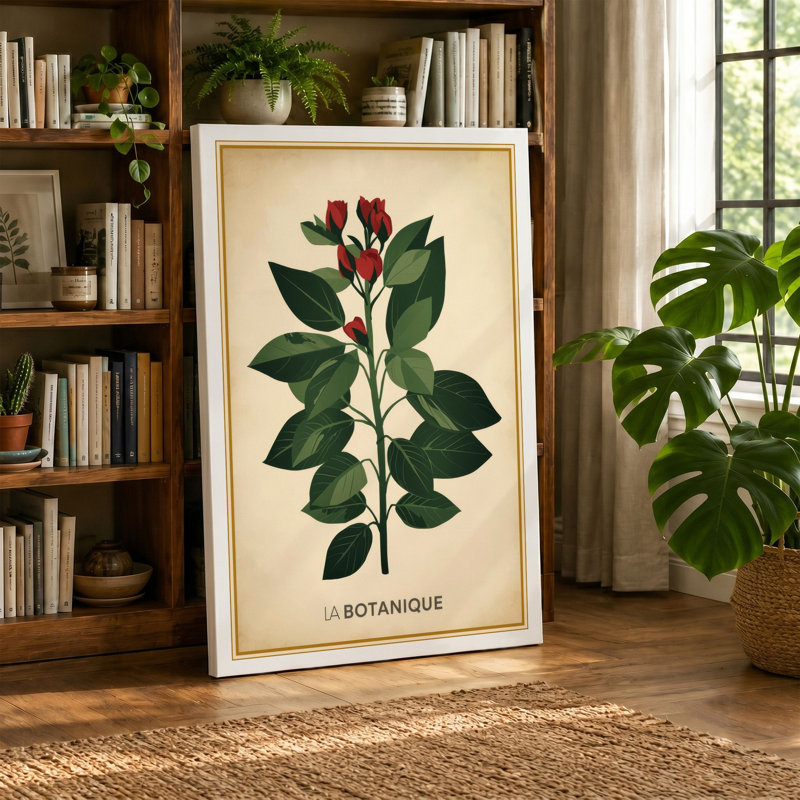 Specimen Botanical - Wrapped Canvas, 24x16 - 61.0 x 40.6 cm, White Border