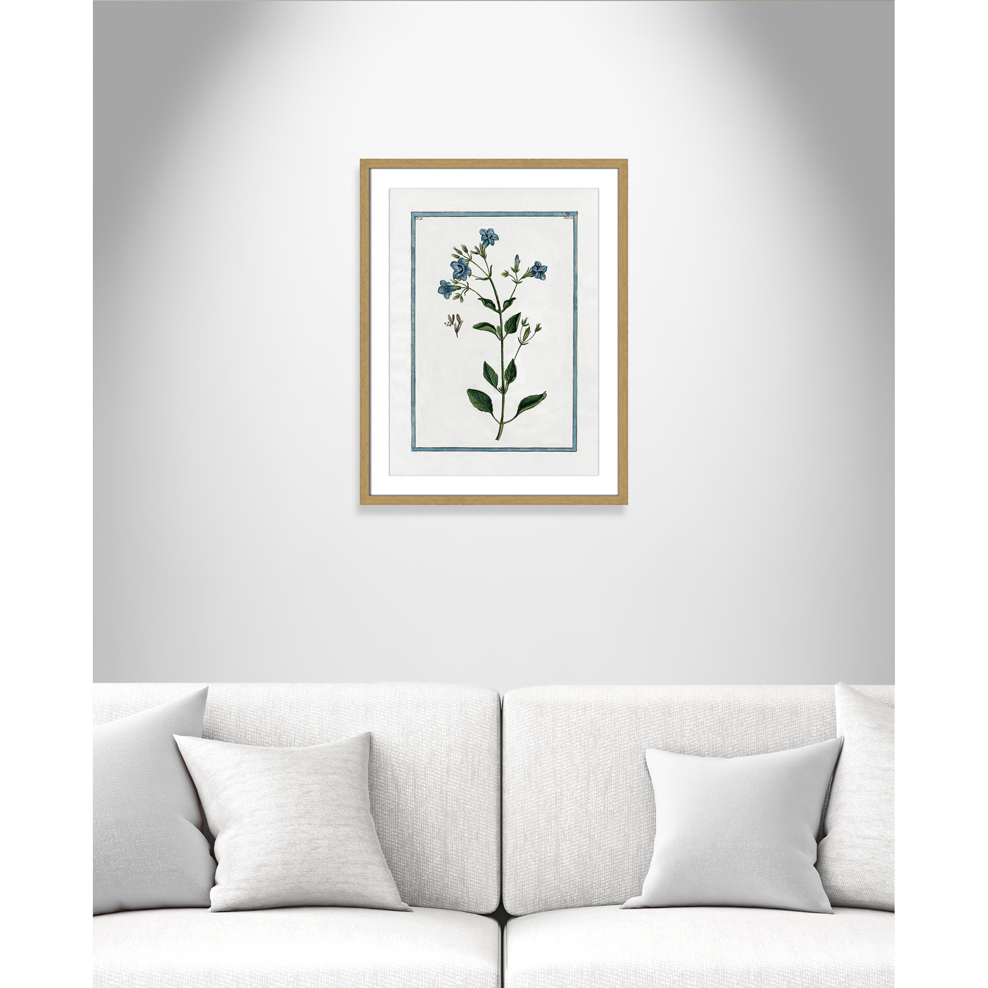 Shabby Elegance Botanical II - Framed Art, 17" W x 23" H, Natural Framed