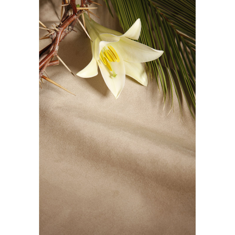 Palm sunday, 91cm H x 61cm W