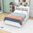 Dylahn Full-Size Modern Platform Bed with Twin Trundle, Drawers, and USB Ports-256398046