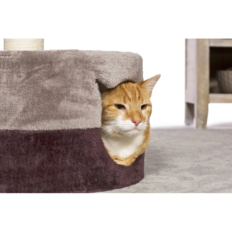 Arbre à chat 25 po Blasko Power Paws