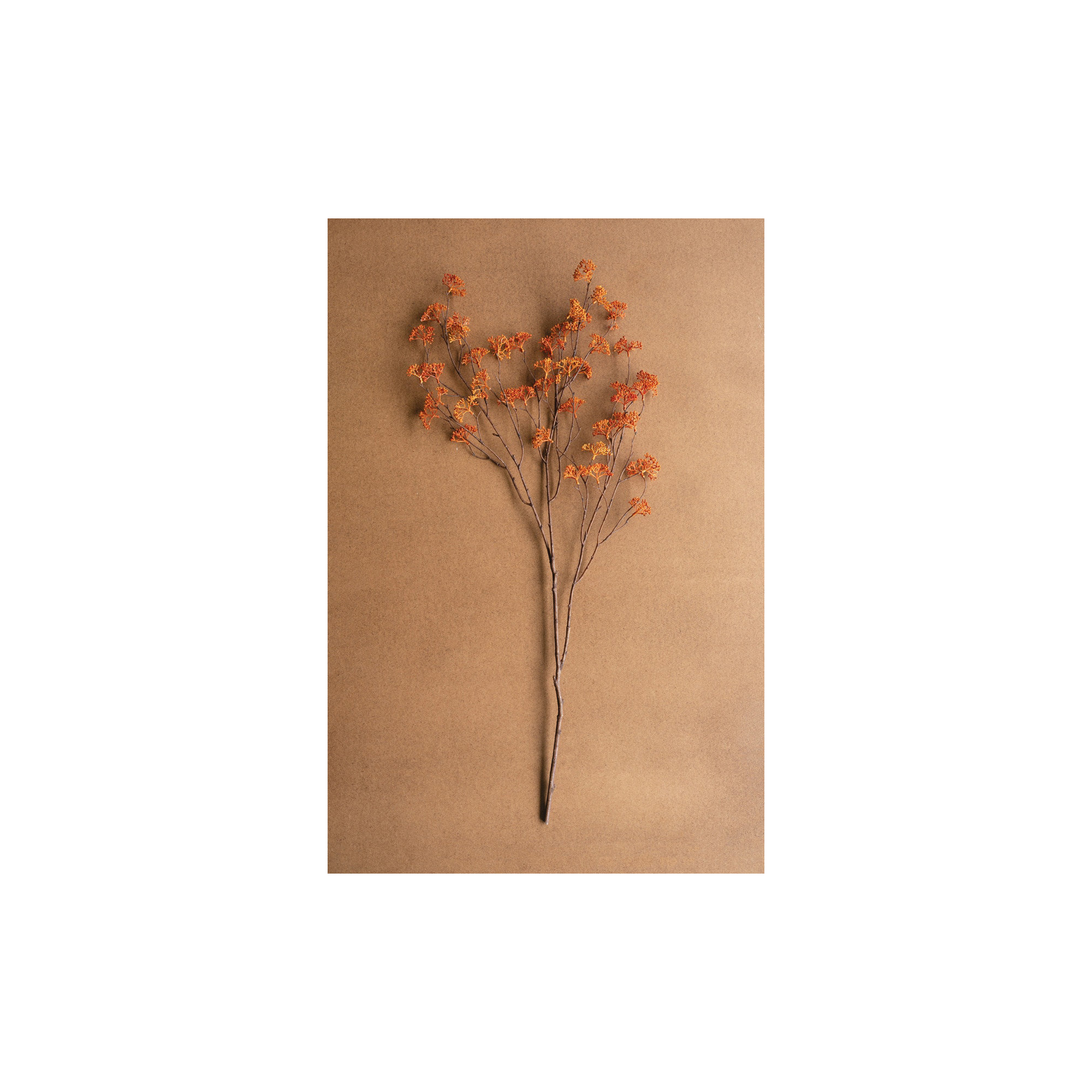 ARTIFICIAL RICE FLOWER STEM - BLUSH, Orange