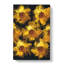 A Wall Of Yellow Sunflowers In Abstract - Wrapped Canvas-55300772