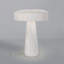 Lampe de table en céramique Percy-1539657138