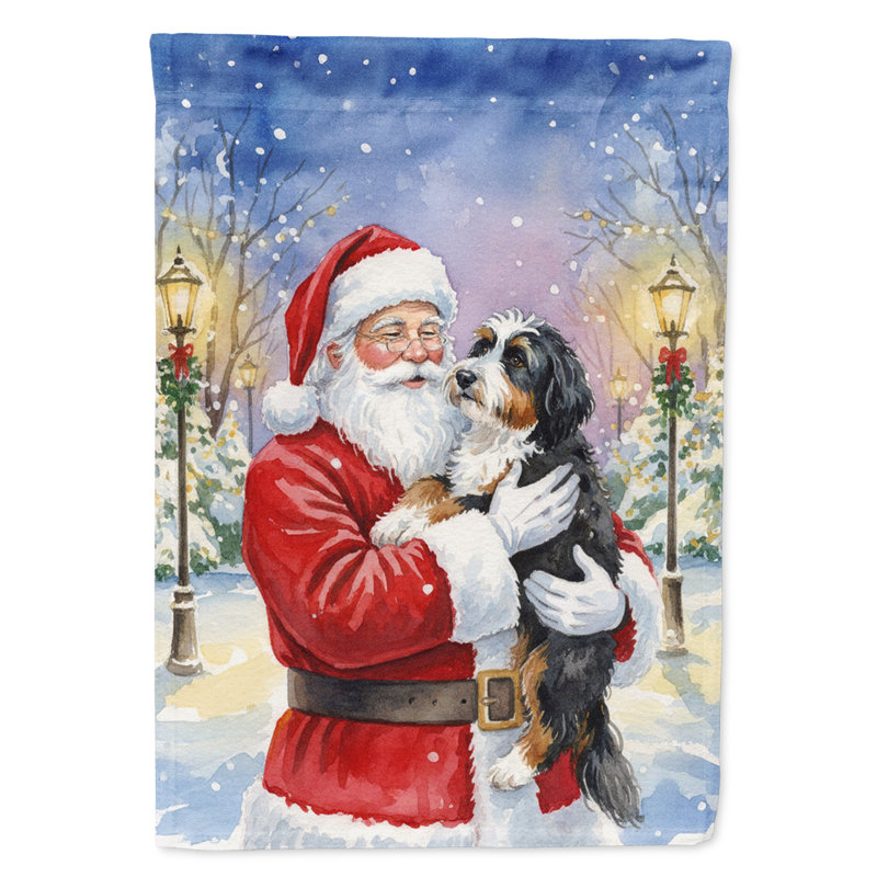 Bernedoodle avec le drapeau de la maison du Père Noël, Taille de la maison, Bernedoodle