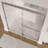 Classic 44" W x 65.5" H  Frameless Shower Door-14171002