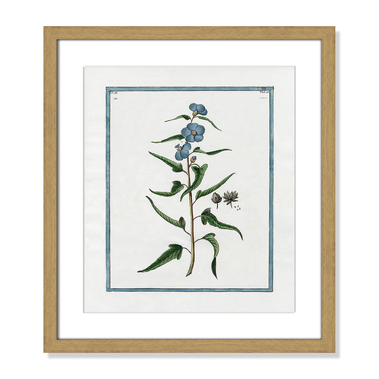 Colombe "Shabby Elegance Botanical I" Print, 13" W x 15" H, Natural Framed