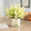 Arrangement floral Kallas Heather en pot