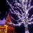 208'' LED String Lights-13153990