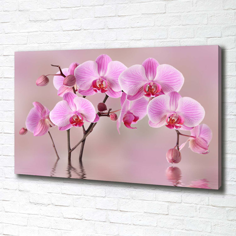 Pink Orchid - Wrapped Canvas Print