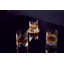 Connoisseur 11.5floz Double Old Fashioned