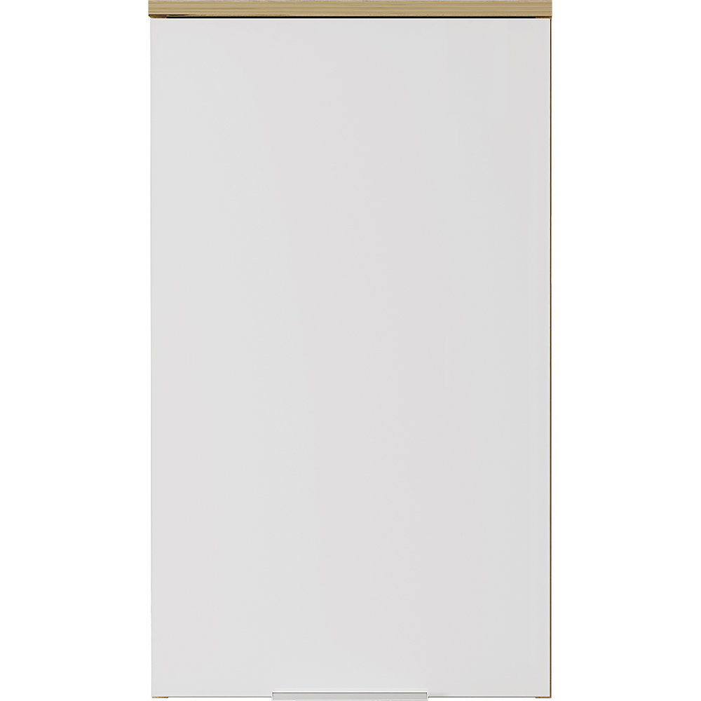 Beaudet 39 x 68cm Wall Mounted Cabinet