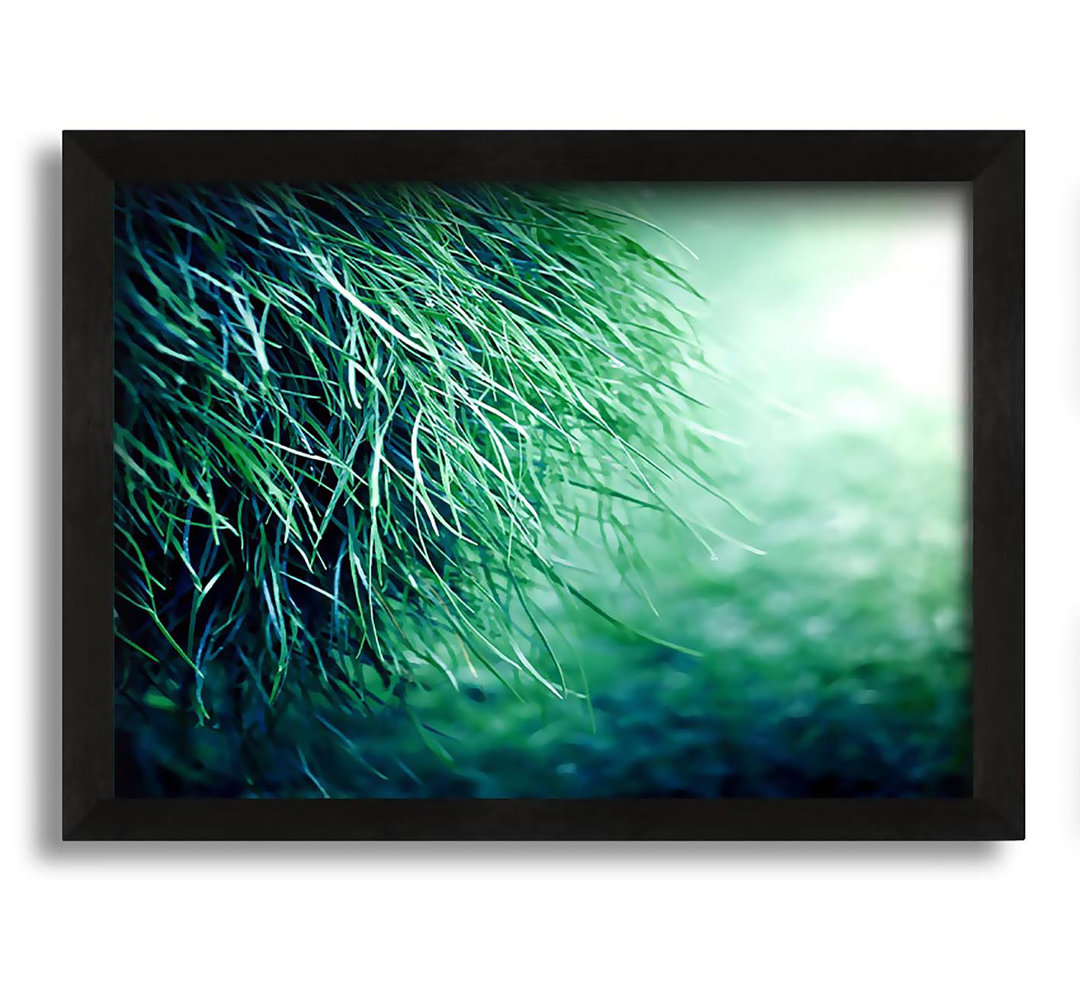 Gerahmtes Leinwandbild Pure Grass