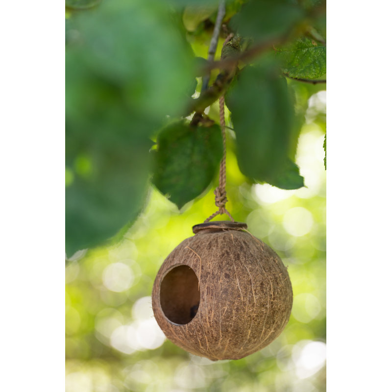 Gill Hanging Birdhouse, 13cm H x 12cm W x 12cm D