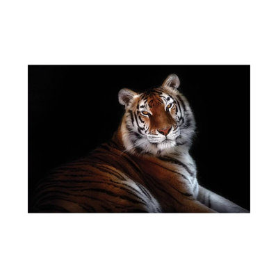 Serenity 1 Piece Wrapped Canvas Wall Art