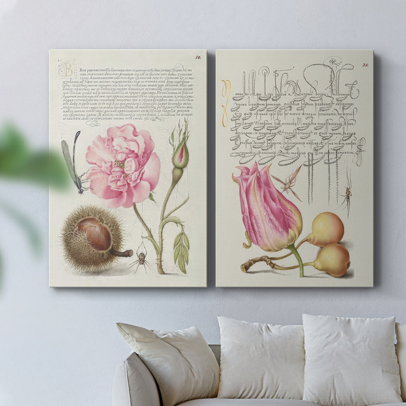 Toile tendue Hoefnagel - spéculations tropicales II - qualité supérieure - prêt à accrocher, H 27 po x l 36 po