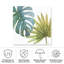 Bolognaise tropicale bolologienne-98081878