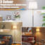Floor Lamp-2034031584