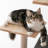 Chabeli 63.8 " H Cat Scratching Post-787977294