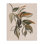 Art mural suspendu sur toile de lierre botanique par Nataly White