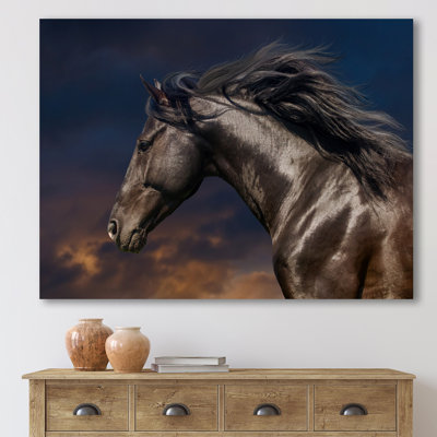 " Portrait Of Thoroughbred Nonius Stallion Horse III "